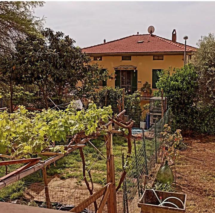Casa Vacanze Toscana,Lago Di Massaciuccoli Zewnętrze zdjęcie