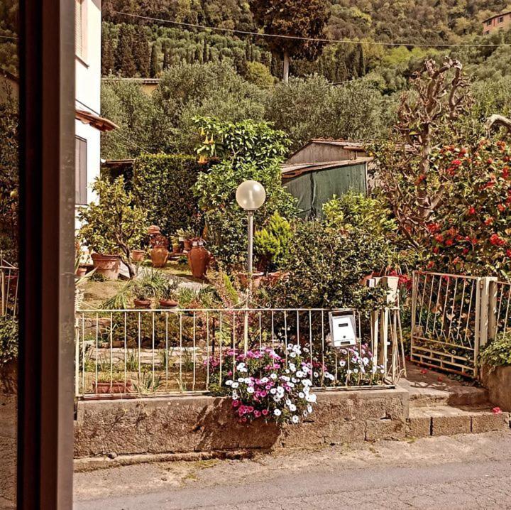 Casa Vacanze Toscana,Lago Di Massaciuccoli Zewnętrze zdjęcie