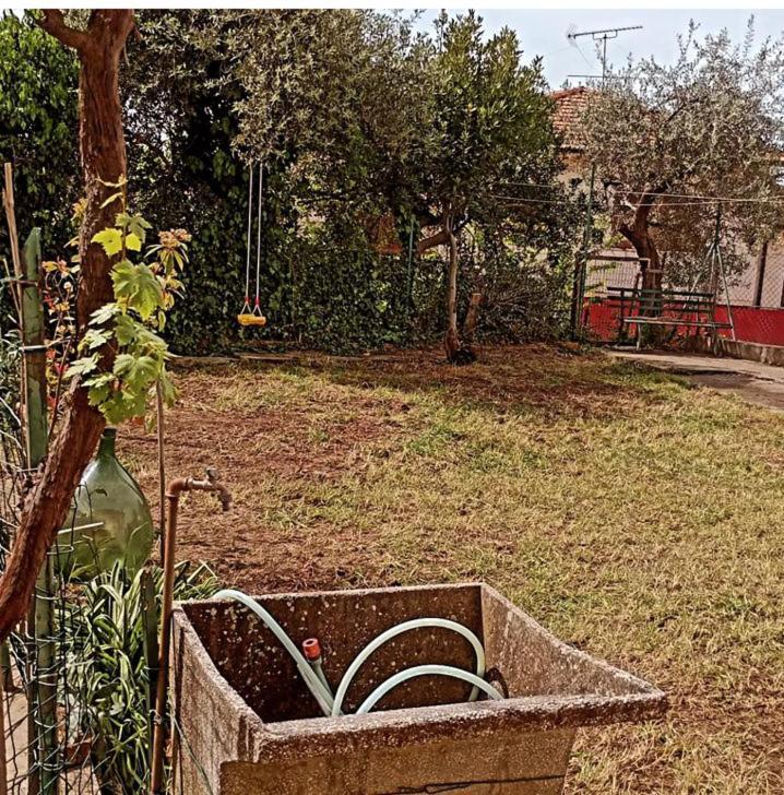 Casa Vacanze Toscana,Lago Di Massaciuccoli Zewnętrze zdjęcie