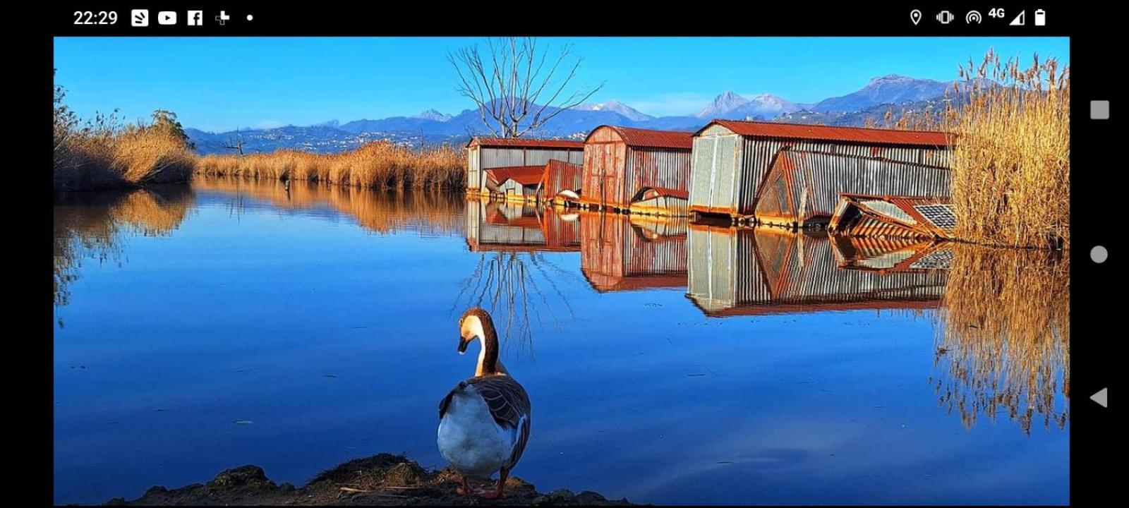 Casa Vacanze Toscana,Lago Di Massaciuccoli Zewnętrze zdjęcie