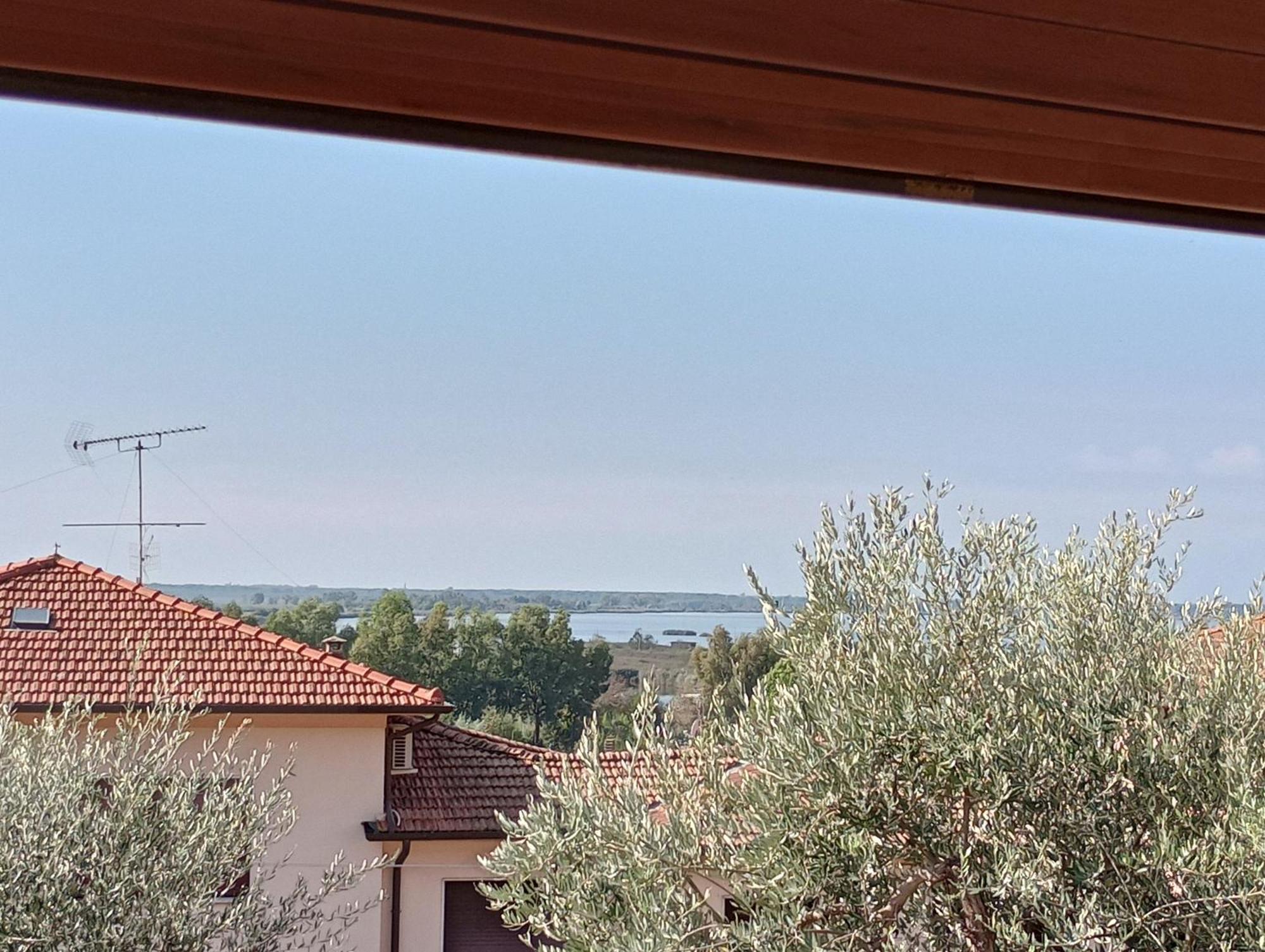 Casa Vacanze Toscana,Lago Di Massaciuccoli Zewnętrze zdjęcie
