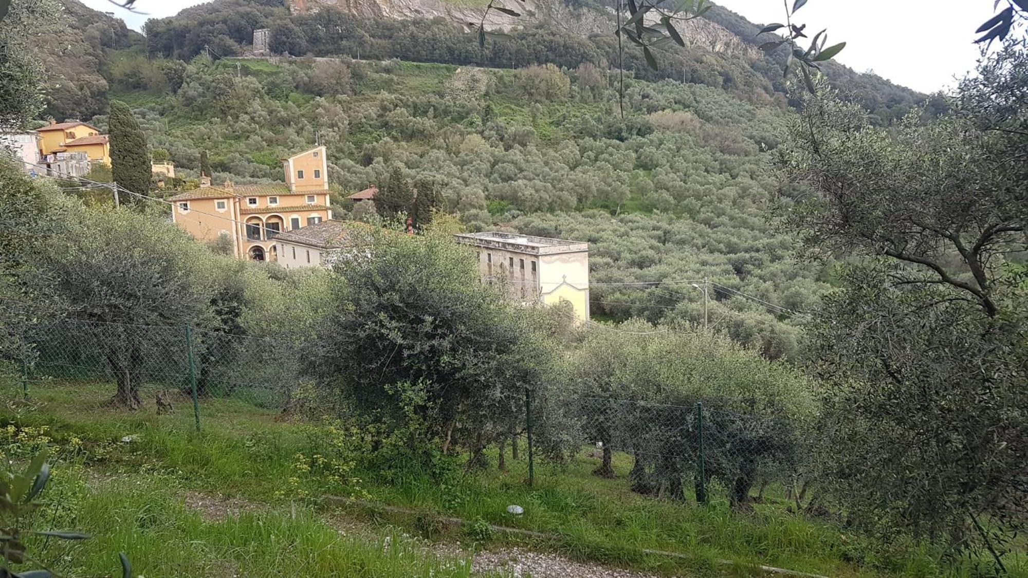 Casa Vacanze Toscana,Lago Di Massaciuccoli Zewnętrze zdjęcie