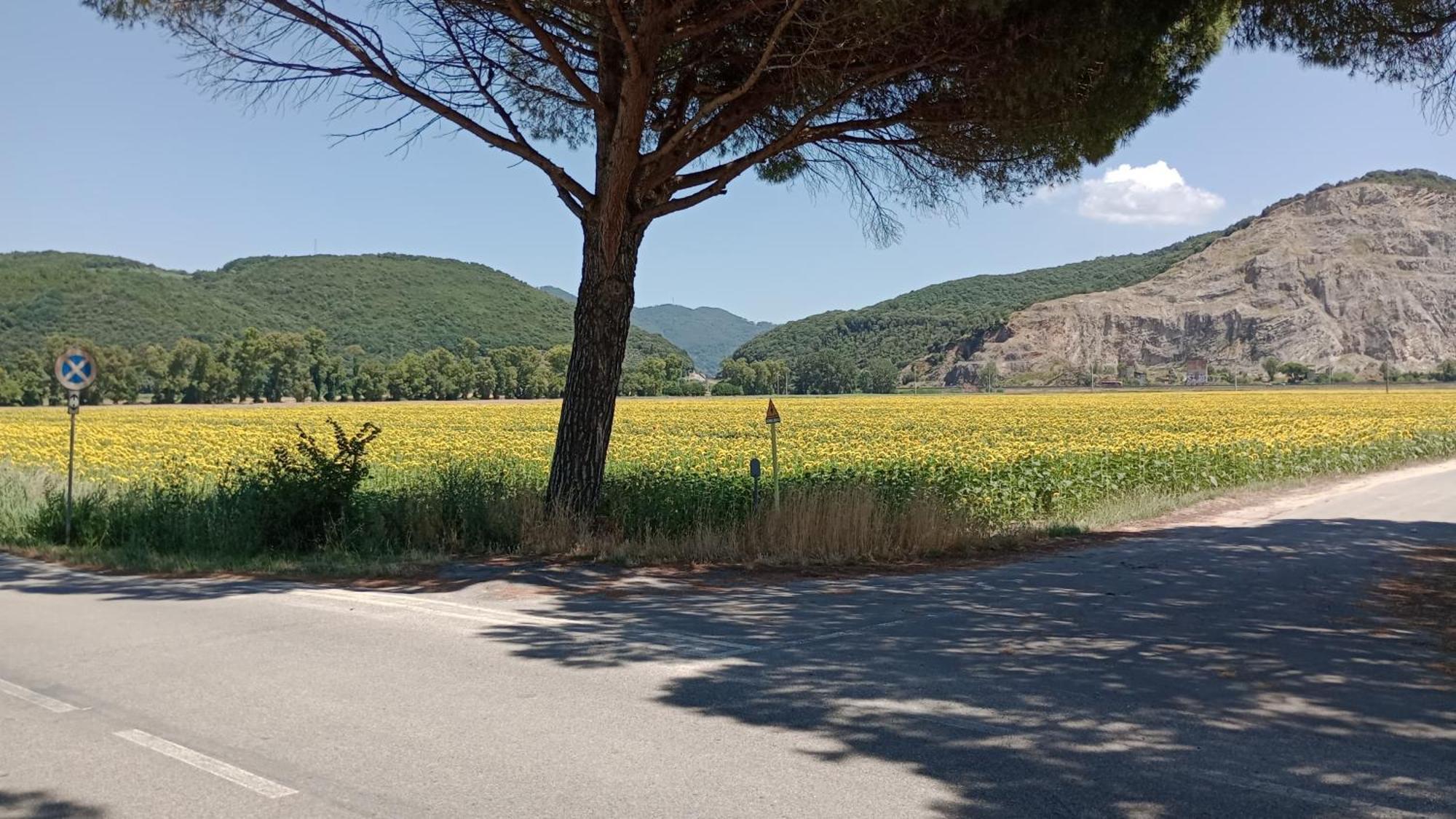 Casa Vacanze Toscana,Lago Di Massaciuccoli Zewnętrze zdjęcie